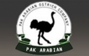 Pak Arabian Ostrich Company in Karachi