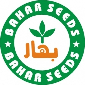 Bahar Seed Corporation in Rahim Yar Khan