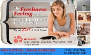 carpet and sofa cleaning home and office services in Karachi