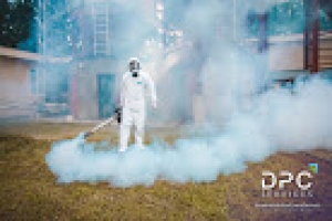 DPC Services (Disinfection and Pest Control Services) in Lahore