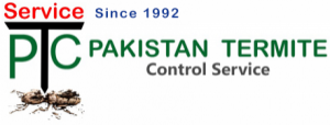 pakistan termite control in Lahore