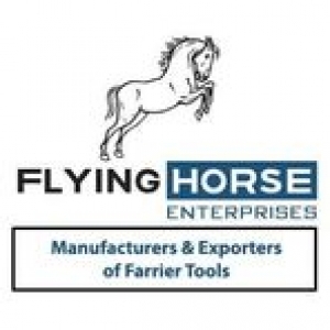 Flying Horse Enterprises in Sialkot