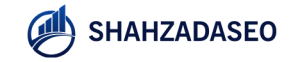 SEO Expert in Lahore | ShahzadaSEO in Lahore
