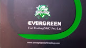 Evergreen Fish Trading SMC Pvt ltd in Karachi